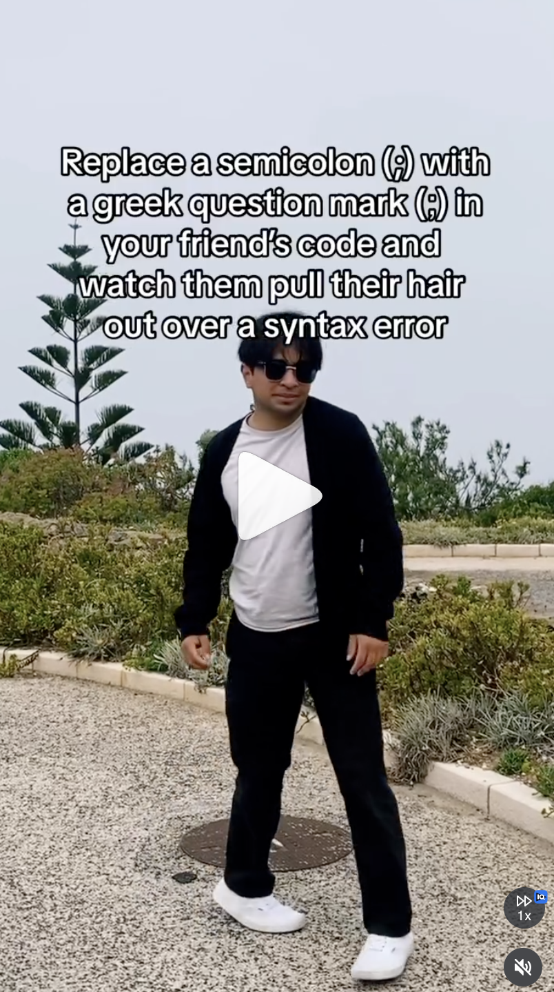 Video preview